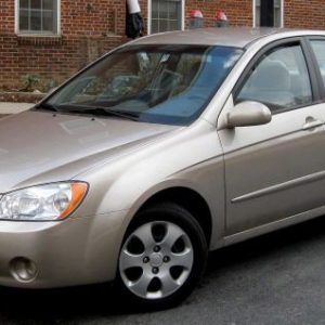cerato 04
