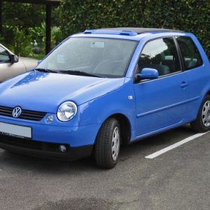 lupo 97