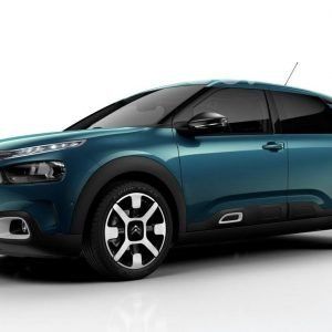 c4 cactus